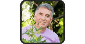 prostavive-testimonals-4-in-usa-bestprostavivecom